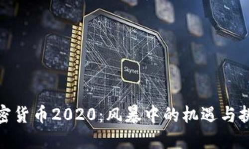 加密货币2020：风暴中的机遇与挑战