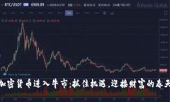 加密货币进入牛市：抓住机遇，迎接财富的春天