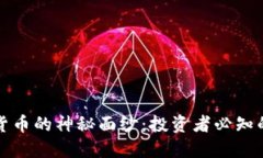揭开加密货币的神秘面纱：投资者必知的关键因