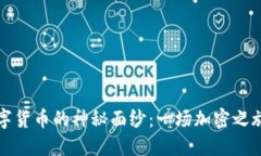 揭开数字货币的神秘面纱：一场加密之旅的探索