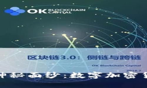 揭开数字货币的神秘面纱：数字加密货币的未来与机遇