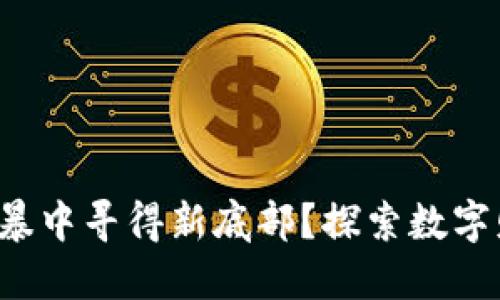 思考一个优质的  
加密货币能否在风暴中寻得新底部？探索数字财富的下一步之旅！