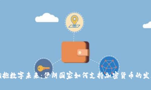 拥抱数字未来：伊朗国家如何支持加密货币的发展