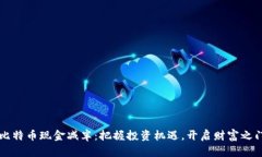 比特币现金减半：把握投资机遇，开启财富之门