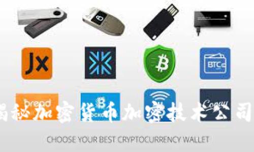 拥抱未来：揭秘加密货币加密技术公司的崛起之路