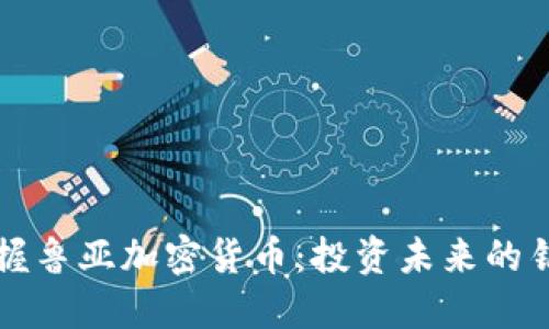 掌握鲁亚加密货币：投资未来的钥匙