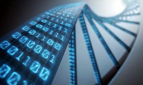 数字加密货币与支付宝：如何轻松实现无缝支付

数字加密货币, 支付宝, 无缝支付/guanjianci

导言：数字世界的崭新机遇
在这个飞速发展的数字时代，支付方式正在发生巨大的变化。尤其是数字加密货币的兴起，像比特币和以太坊等虚拟货币已成为许多人投资和交易的对象。而与此同时，支付宝作为一款广受欢迎的支付应用，也在积极探索与加密货币结合的可能性。本文将详细介绍如何利用支付宝进行数字加密货币支付，让每一笔交易都如同在晨雾中的老桥上行走般轻松自然。

什么是数字加密货币？
数字加密货币，简单来说，就是基于区块链技术的虚拟货币。这些货币通过加密技术进行保护，使得交易更加安全。它们的存在打破了传统金融体系中的许多障碍，提供了更为自由和便捷的支付方式。例如，您再也不需要等待银行的繁琐手续，就可以在全球范围内进行交易。这就像一辆飞驰而来的电动车，不再受限于传统交通的束缚。

支付宝的优势
支付宝作为中国最大的移动支付平台之一，已经渗透到了我们生活的方方面面。从超市购物到水电缴费，再到在线购物，支付宝都以其便捷性和安全性赢得了用户的青睐。想象一下，当您在街头小摊品尝美食时，只需扫一扫二维码，便能快速完成支付。这种便捷让人倍感舒适，仿佛晨曦中的阳光，温暖又亲切。

如何在支付宝中使用数字加密货币？
虽然支付宝目前尚未直接支持加密货币的支付功能，但我们可以通过一些创新的方法来实现无缝对接。以下是一些实用的步骤与技巧，让你在支付宝中轻松管理和使用数字加密货币。

h41. 注册数字货币交易所/h4
首先，您需要选择并注册一个可靠的数字货币交易所，例如币安、火币等。这些交易所就像互联网中的“集市”，用户可以在这里自由买卖各种数字货币。注册过程通常需要提供一些个人信息和身份验证，就像在办理银行卡时一样，让交易更加安全可靠。

h42. 将数字货币兑换为法定货币/h4
一旦您在交易所中有了某种数字货币，就可以选择将其兑换为人民币等法定货币。这一步可以视为一座桥梁，将虚拟的世界与现实生活连接在一起。具体操作很简单，您只需在交易所中选择“兑换”功能，输入想要兑换的数量，即可完成交易。

h43. 提现至支付宝或银行卡/h4
完成兑换后，您可以选择将资金提现至您的支付宝账户或绑定的银行卡。这就如同把丰收的果实采摘回家，随时可以安心享用。通常提现过程需要一些时间，根据不同的交易所，您可能需要等待数分钟到数小时不等。

h44. 使用支付宝进行日常消费/h4
当您的支付宝账户中已经有了提现到的资金，您便可以像往常一样使用支付宝进行购物和支付。无论是在餐厅享受美食，还是在商场购物，您都可以轻松通过扫一扫，完成快速付款。这种便捷感，就像清晨的阳光透过窗帘洒在床头，让人心情愉悦。

未来展望：加密货币与支付宝的融合
虽然目前支付宝还未全面支持数字加密货币，但随着区块链技术的发展及其在金融行业应用的深化，未来两者的结合在所难免。这种变化有可能彻底颠覆我们对支付方式的认知。想象一下，有朝一日，您可以在超市中直接用比特币支付，收银员只需扫扫二维码，便成交。这将是多么便利的生活！

总结：拥抱数字化的未来
在这样一个数字化转型的浪潮中，大家都应该积极了解和尝试新的支付方式。虽然当前仍有一些障碍，但未来数字加密货币与支付宝的结合将会推动支付行业的发展，为我们的日常生活带来更多的便利。让我们怀着期待的心情，迎接这个飞速变化的时代吧！

附录：一些注意事项
在使用数字加密货币时，也有一些注意事项值得考虑：
ul
listrong安全性：/strong请注意保护您的数字货币私钥和密码，防止不法分子盗取。/li
listrong市场波动：/strong数字货币的价格波动较大，投资需谨慎，切勿盲目跟风。/li
listrong合规性：/strong了解当地对加密货币的法律法规，确保自己的交易合法合规。/li
/ul

通过以上方法，您就可以充分利用支付宝与数字加密货币的结合，享受生活中的每一次支付体验。在未来的道路上，让我们一起迎接数字金融的新时代吧！