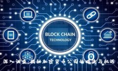 深入调查：揭秘加密货币公司的暗流与机遇