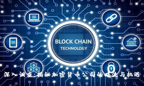 深入调查：揭秘加密货币公司的暗流与机遇