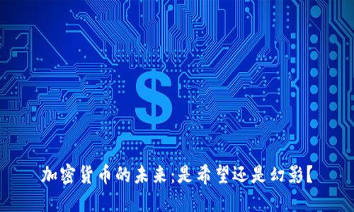 加密货币的未来：是希望还是幻影？