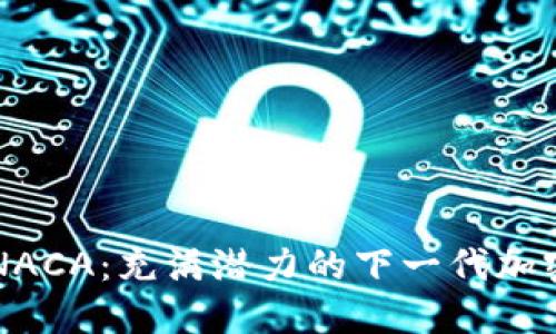 揭秘NACA：充满潜力的下一代加密货币
