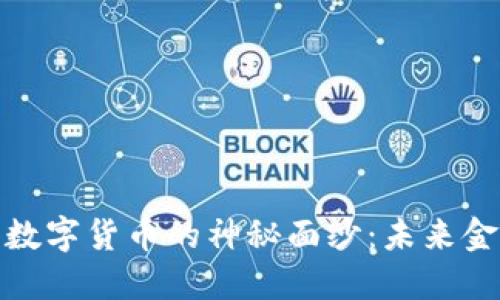 揭开WBC加密数字货币的神秘面纱：未来金融的宝藏之路