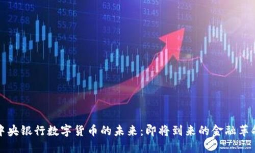 中央银行数字货币的未来：即将到来的金融革命