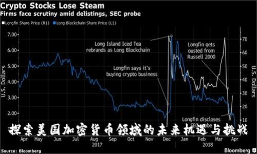探索美国加密货币领域的未来机遇与挑战
