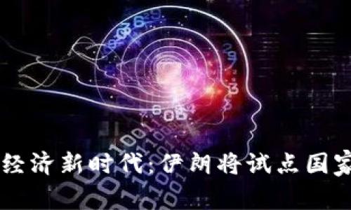 开启数字经济新时代：伊朗将试点国家加密货币