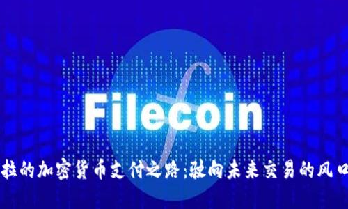 特斯拉的加密货币支付之路：驶向未来交易的风口浪尖