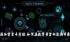 揭秘韩国加密货币市场：如何在数字黄金的浪潮