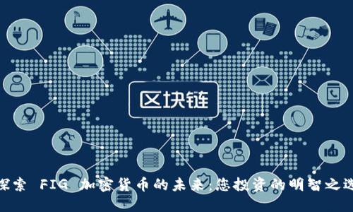 探索 FIG 加密货币的未来：您投资的明智之选