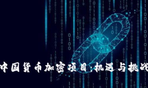 探索中国货币加密项目：机遇与挑战并存