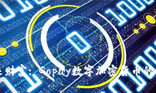 掌握未来财富: Gopay数字加密货币的崛起之路