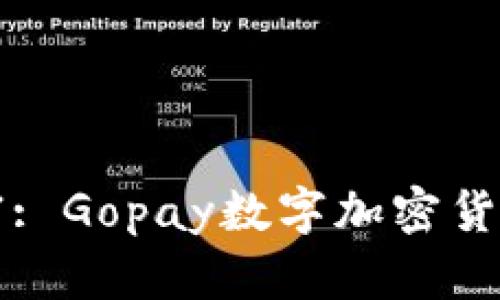 掌握未来财富: Gopay数字加密货币的崛起之路