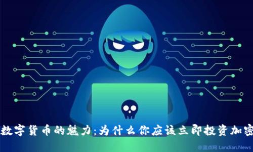 探索数字货币的魅力：为什么你应该立即投资加密货币