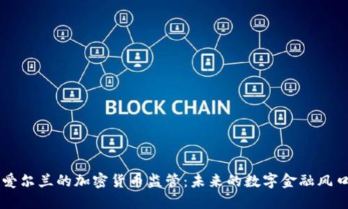 爱尔兰的加密货币监管：未来的数字金融风口