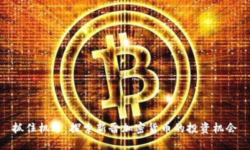 抓住机遇：探索新晋加密货币的投资机会