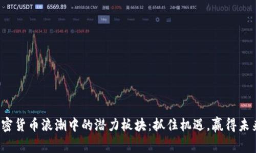 加密货币浪潮中的潜力板块：抓住机遇，赢得未来！