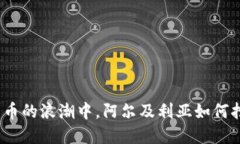 在数字货币的浪潮中，阿尔及利亚如何抢占先机