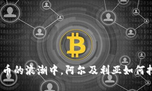 在数字货币的浪潮中，阿尔及利亚如何抢占先机？