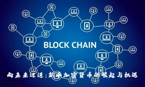 向未来迈进：新币加密货币的崛起与机遇