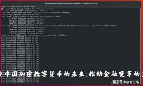 探索中国加密数字货币的未来：推动金融变革的力量