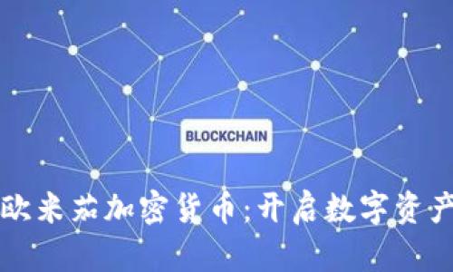 深入探索欧米茄加密货币：开启数字资产的新篇章
