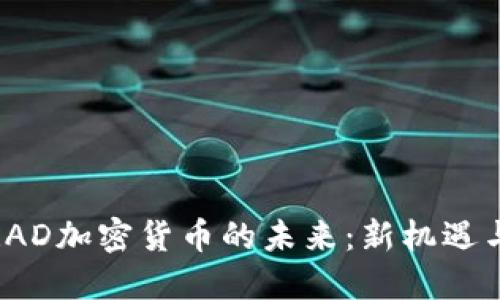 探索RAD加密货币的未来：新机遇与挑战