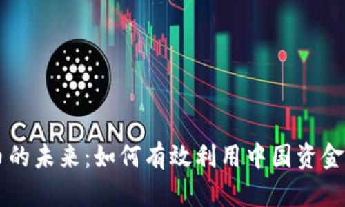 掌握加密货币的未来：如何有效利用中国资金投入数字资产