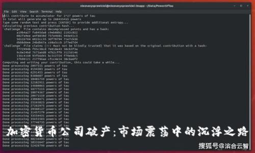 加密货币公司破产：市场震荡中的沉浮之路