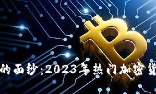 揭开数字货币的面纱：2023年热门加密货币排名大揭秘