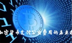 用加密货币支付公交费用的未来探讨