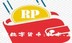 深入解析DK加密数字货币：技术、应用与未来发展