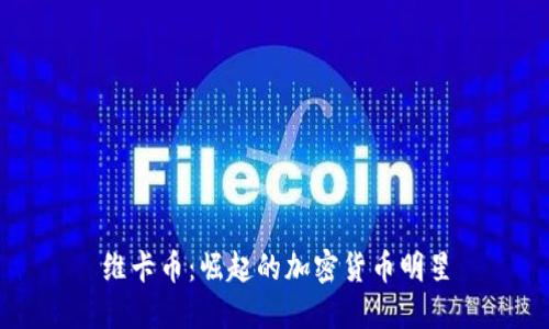 维卡币：崛起的加密货币明星