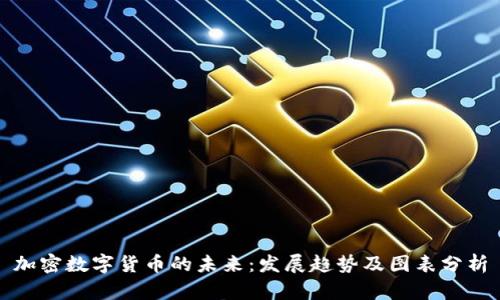 加密数字货币的未来：发展趋势及图表分析