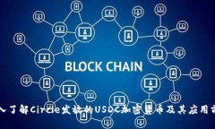 深入了解Circle发放的USDC加密货币及其应用前景