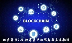   加密货币1.0：数字资产的崛起与未来挑战