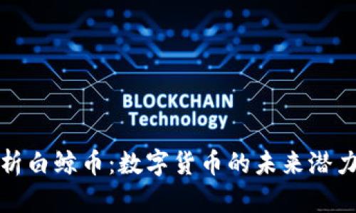 全面解析白鲸币：数字货币的未来潜力与挑战