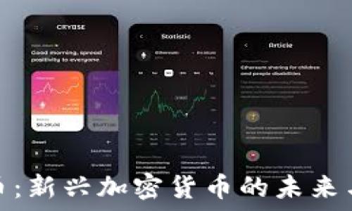   
AMA币：新兴加密货币的未来与挑战