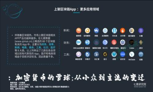 : 加密货币的雪球：从小众到主流的变迁