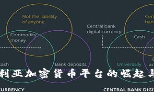 尼日利亚加密货币平台的崛起与发展
