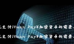 探讨元支付（Yuan Pay）加密货币的前景与挑战探讨
