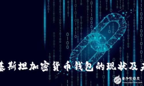 探讨巴基斯坦加密货币钱包的现状及未来发展